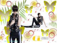 CL 2NE1