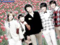 Boys before flower 02 