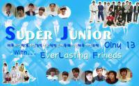 SuJu Only 13