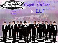 SuPeRjUnIoR & E.L.F