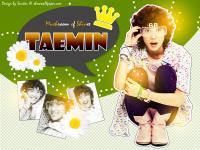 SHINee ➽ Musroom TAEMIN [BB set.]