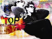 Mr.TOP' color