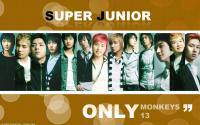 Super Junior ><