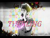 THEBLING  Verion 1.