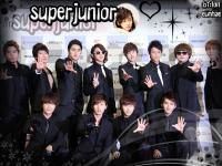 SUPERJUNIOR