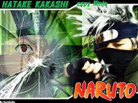 Cosplay NARUTO (hatake kakashi)