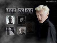 Tom Felton [Draco Malfoy]
