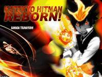 REBORN! flame of tsuna