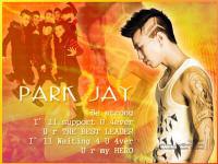 PARK JAE BUM