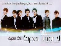 Super Junior M