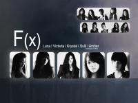 F(x)::Black ver.