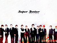 super junior