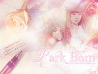 Pink-Park bom
