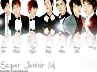  The Shine Of SJ M