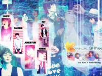 IT's for my love.. SHINee