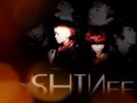 SHINee  '2009, Year Of Us'  