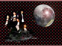 SHINee:night