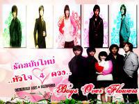 Boys Over Flowers