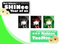 SHINee TaeMin Year of Us