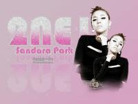 2NE1 '''''''''Sandara par