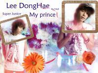 Super Junior[03] Lee DongHae My prince