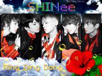 SHINee ~Ring Ding Dong~