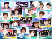 SHINee~ ♥