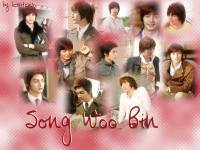 Song Woo Bin