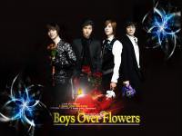 boys over flowers