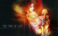 The Fire of Life :: Lee Hyori