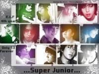 Super Junior 4th year