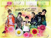 BigBang ;; Flower And Light