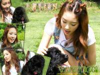 tae&dog