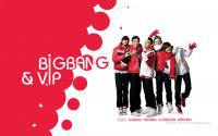BIGBANG & VIP