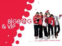 BiGBANG & VIP