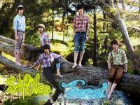 SHINee Forest~~~~~~~`