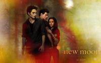 the twilight saga 'NEW MOON'