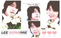 ' DONGHAE ; flower for you ✿