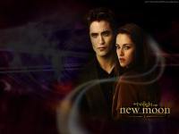 Vampire saga...NEW MOON