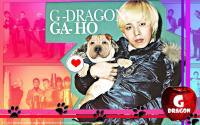 GDragon&Gaho