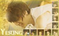 Yesung Super Show 2