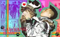 TAEYANG&BOSS