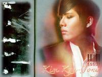 Kim Kyu-Jong-Rebirth