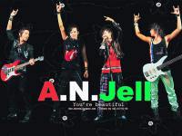 A.N.Jell : You're beautiful!!!