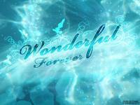 Wonderful Forever