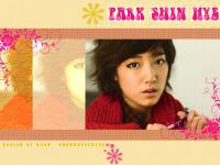 Park Shin Hye