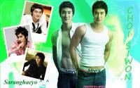 Choi Siwon