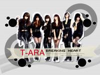 T-ARA    Breaking Heart