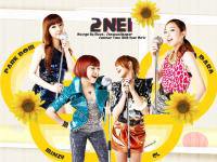 Summer Time With 2NE1