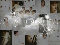 White SHINee